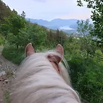 Berggasthof Karlbauer Affittacamere 3*