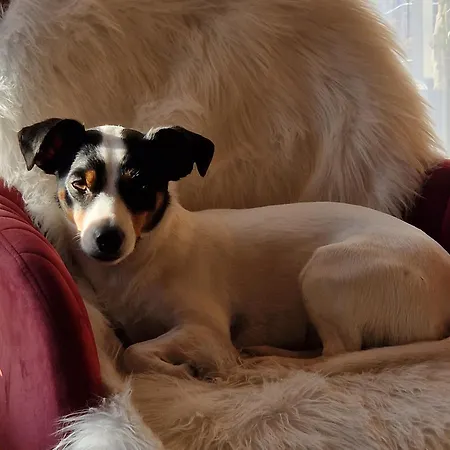 Berggasthof Karlbauer