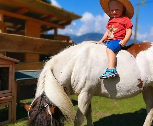 Berggasthof Karlbauer Guest house Lendorf