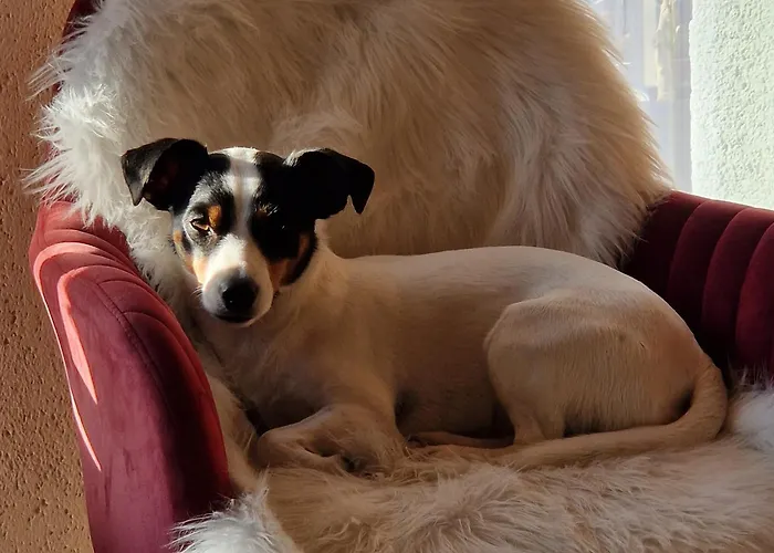 Berggasthof Karlbauer