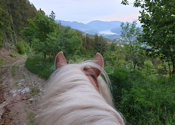 Berggasthof Karlbauer Konukevi 3*
